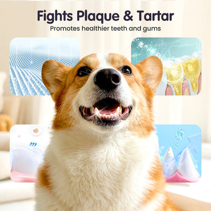 🔥2026 New Arrivals: Teeth Cleaning Spray for Pets.